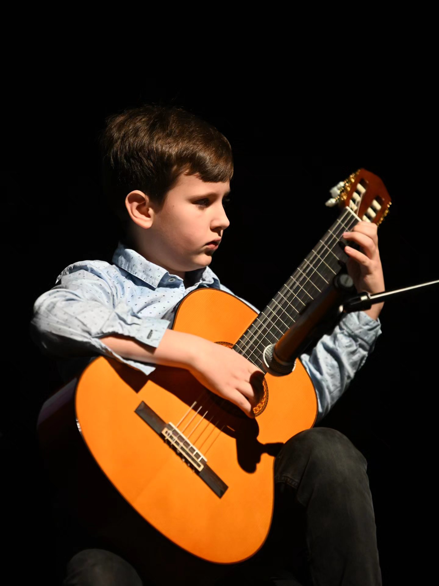 Novogodišnji koncert