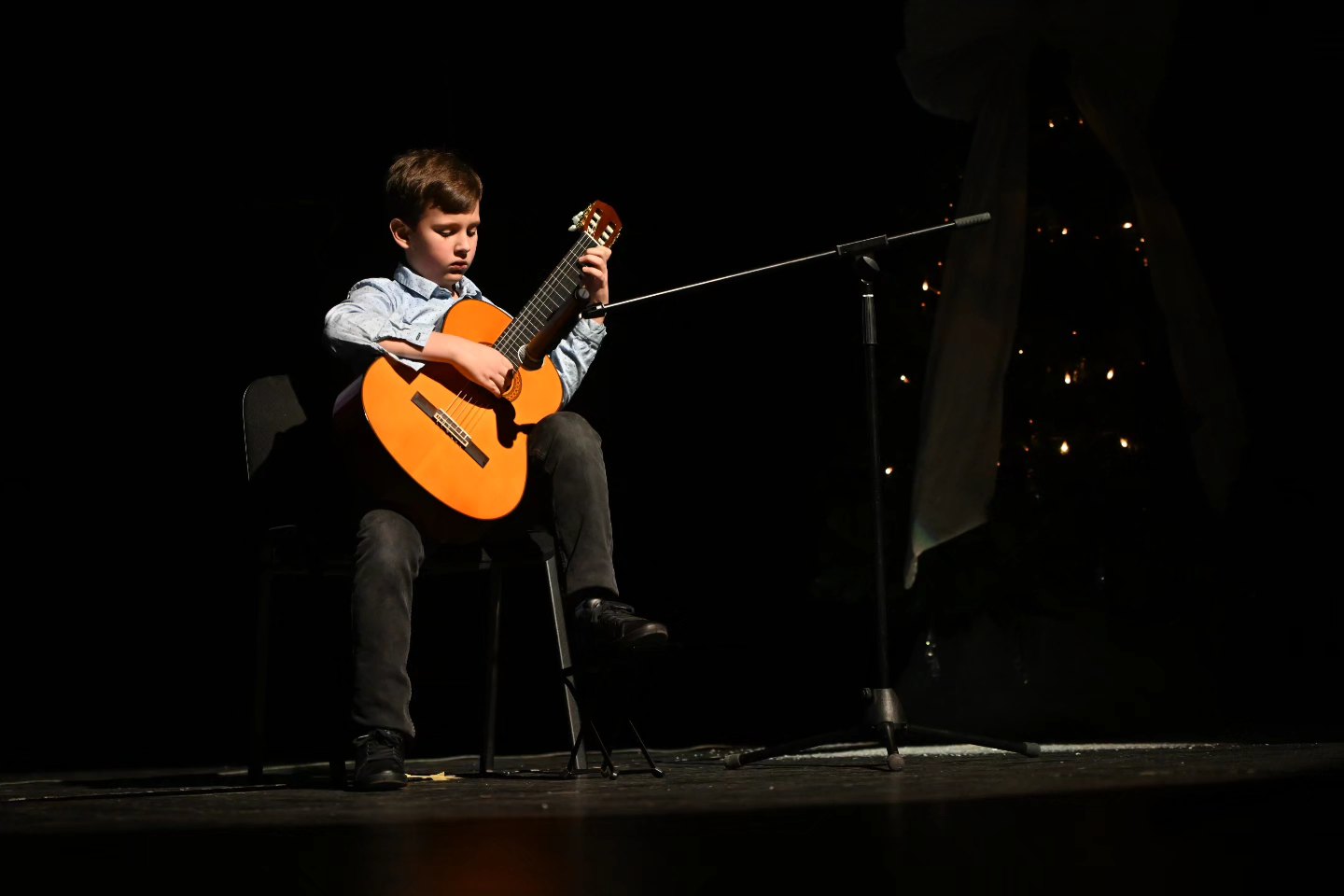 Novogodišnji koncert