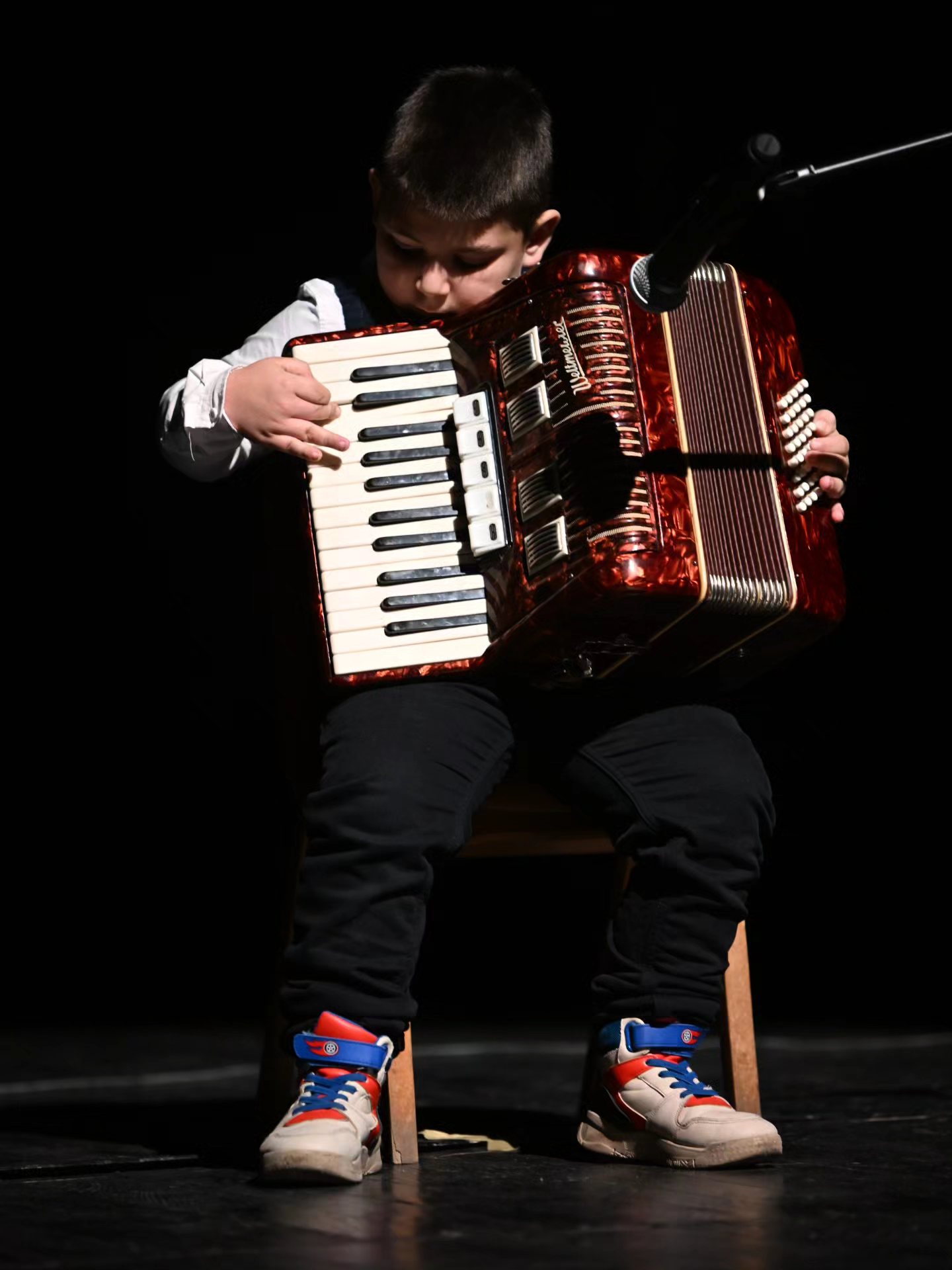 Novogodišnji koncert