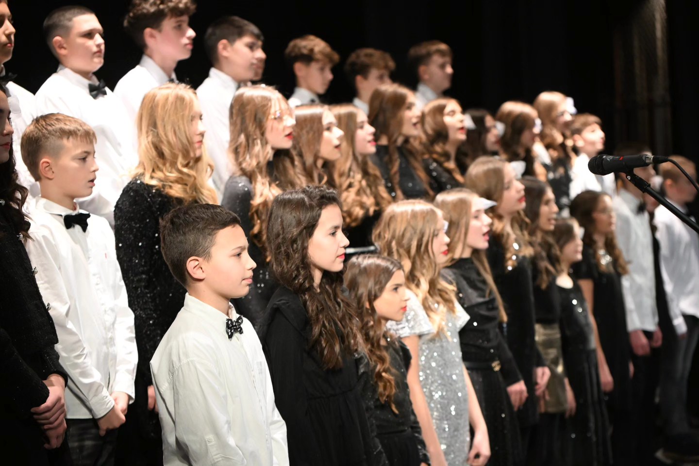 Novogodišnji koncert