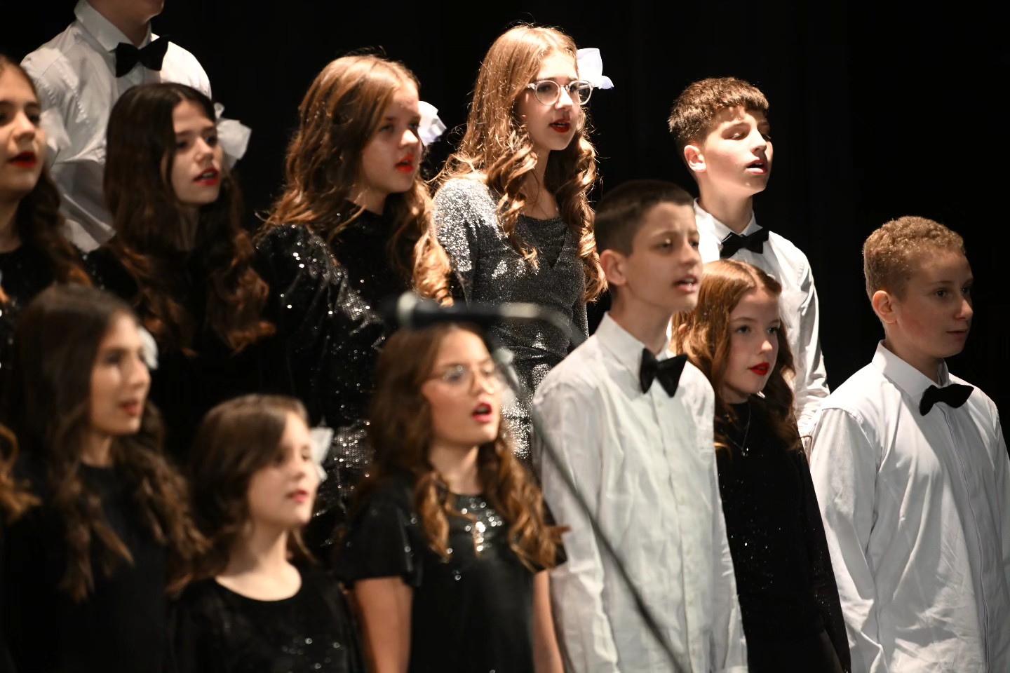 Novogodišnji koncert