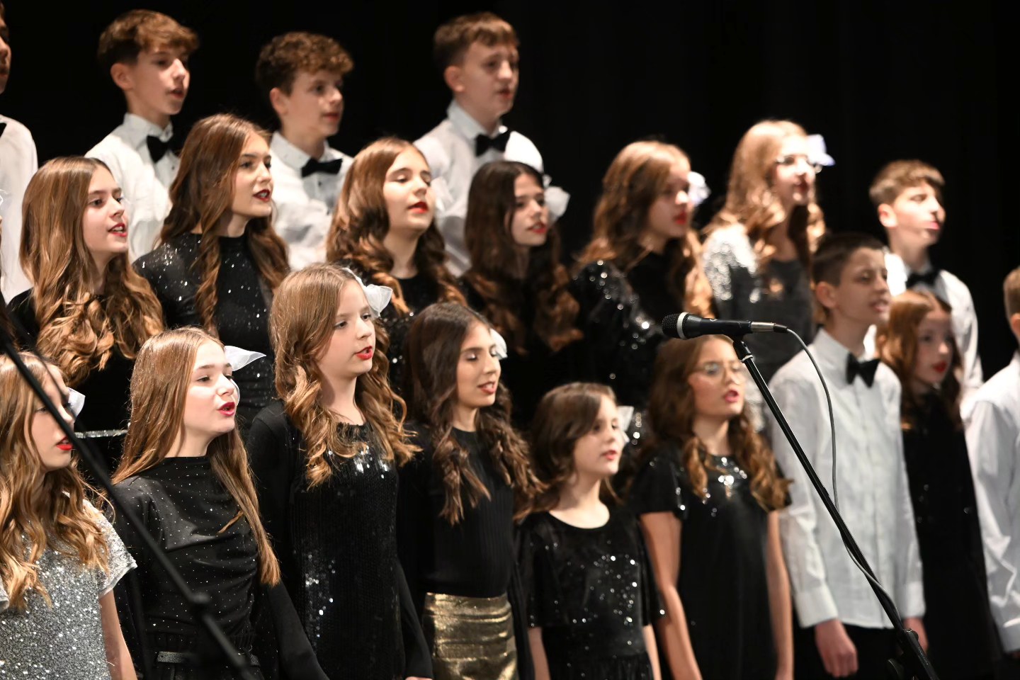 Novogodišnji koncert