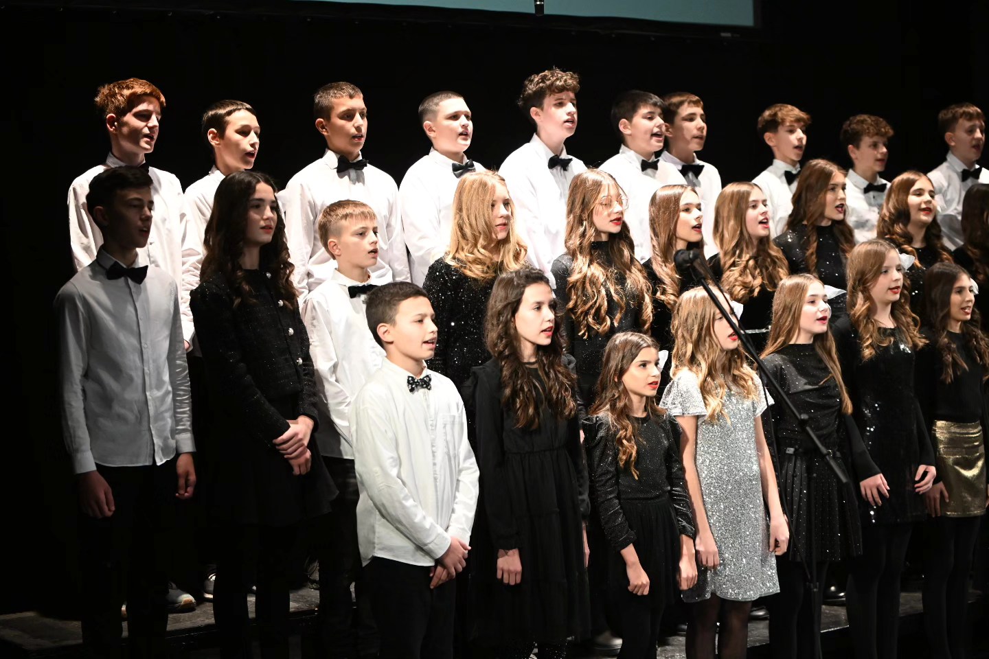 Novogodišnji koncert