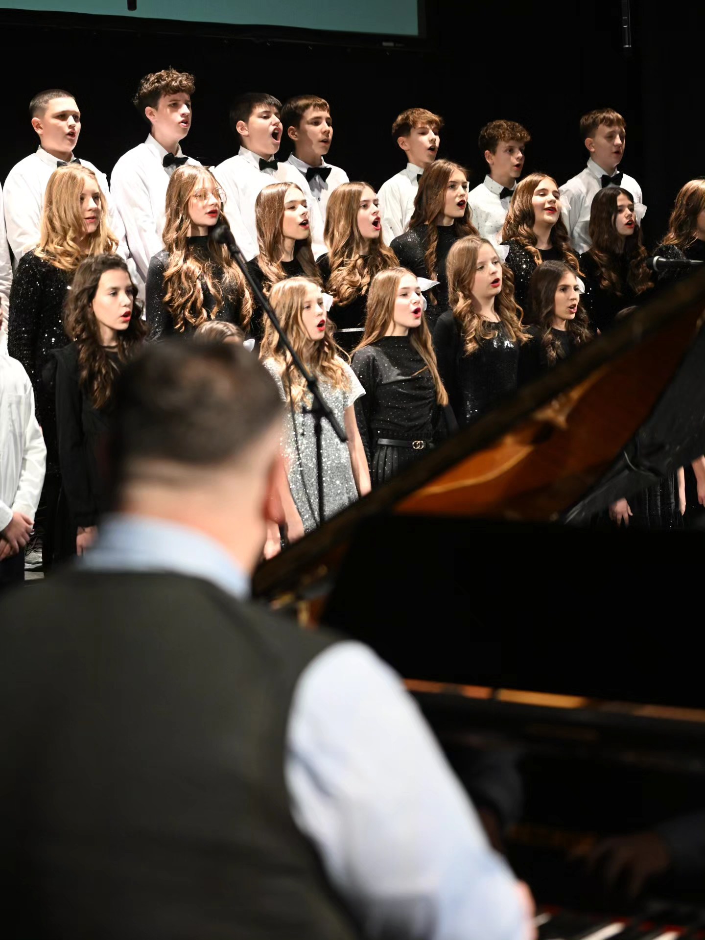 Novogodišnji koncert