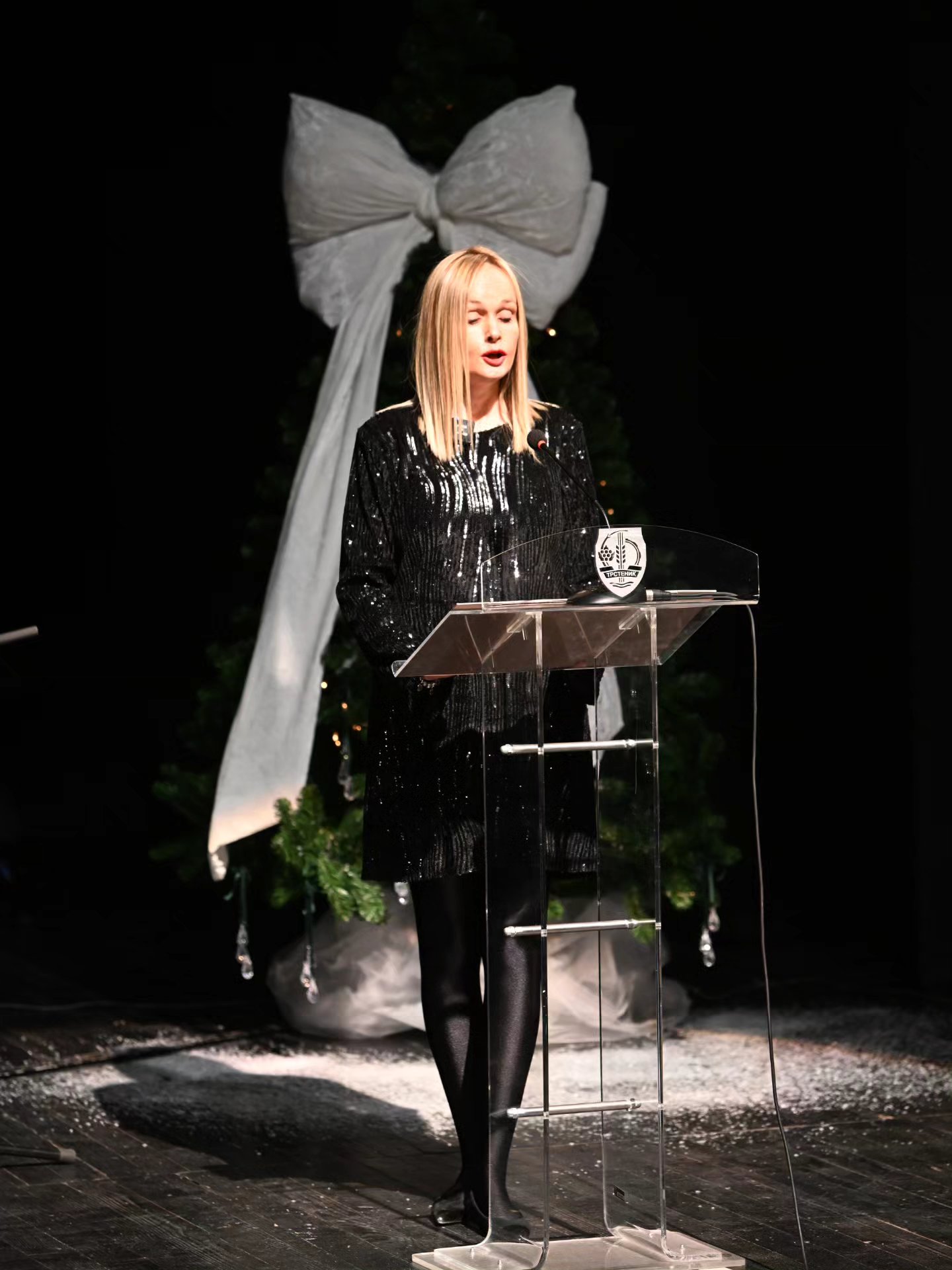 Новогодишњи концерт