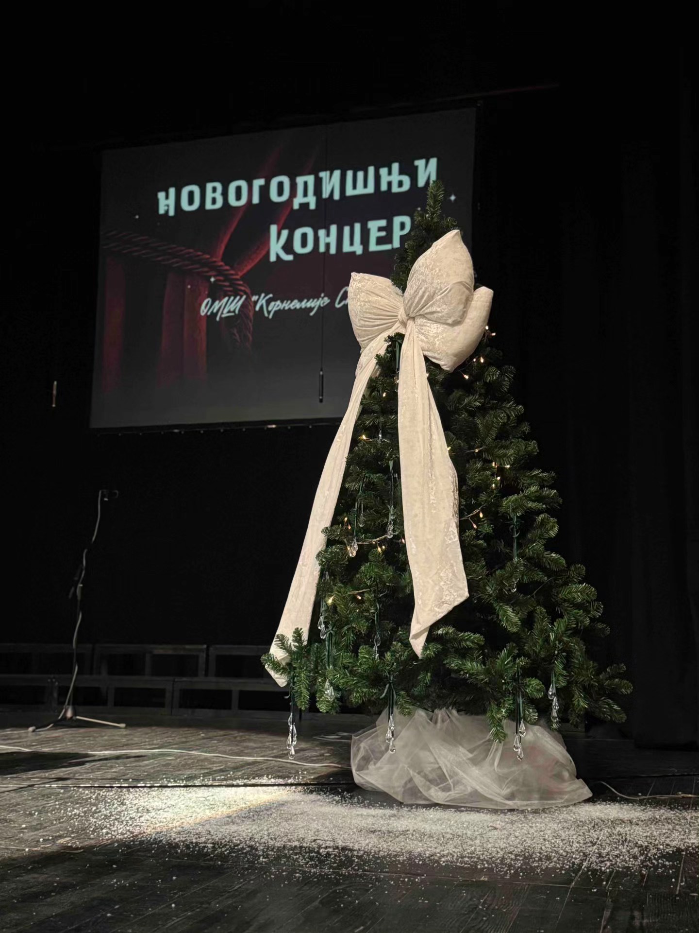 Novogodišnji koncert