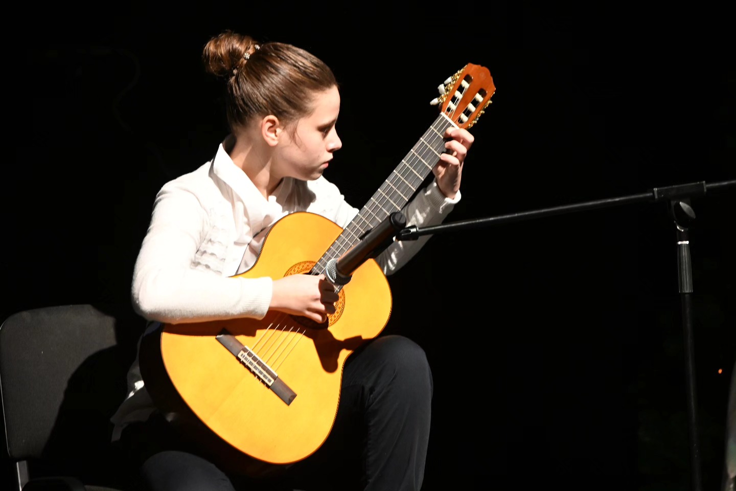 Novogodišnji koncert