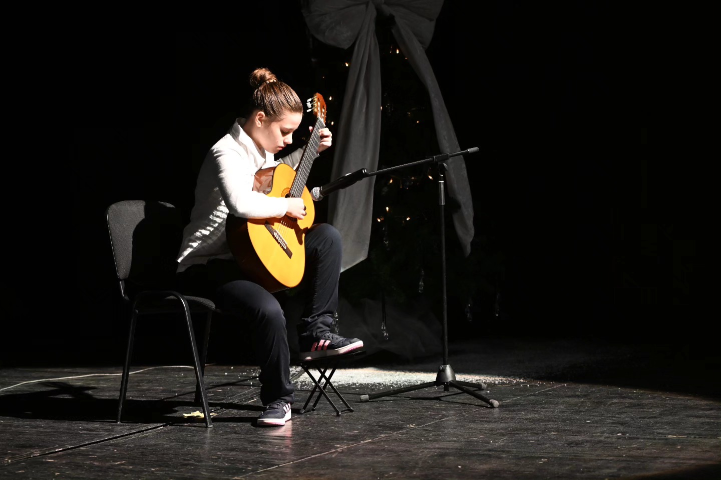 Novogodišnji koncert