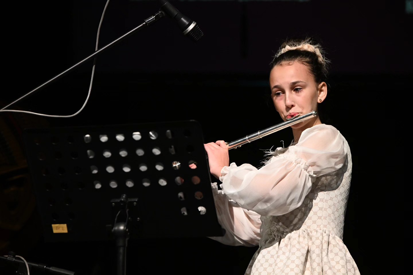 Novogodišnji koncert