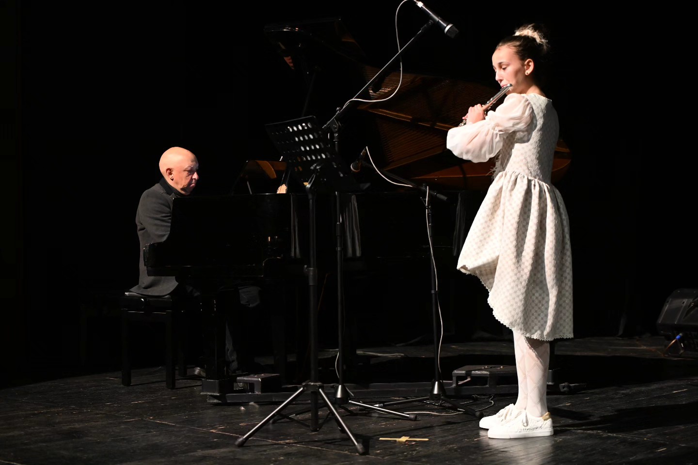 Novogodišnji koncert