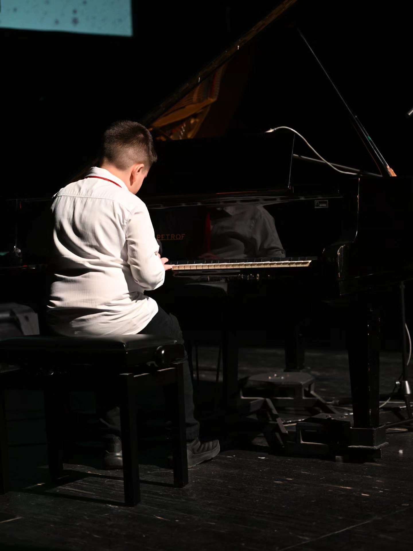 Novogodišnji koncert