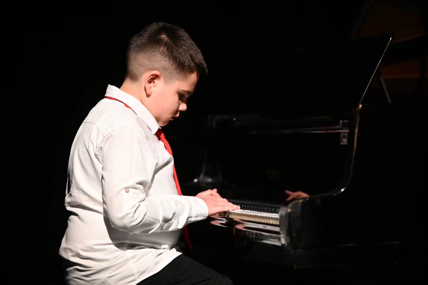 Novogodišnji koncert