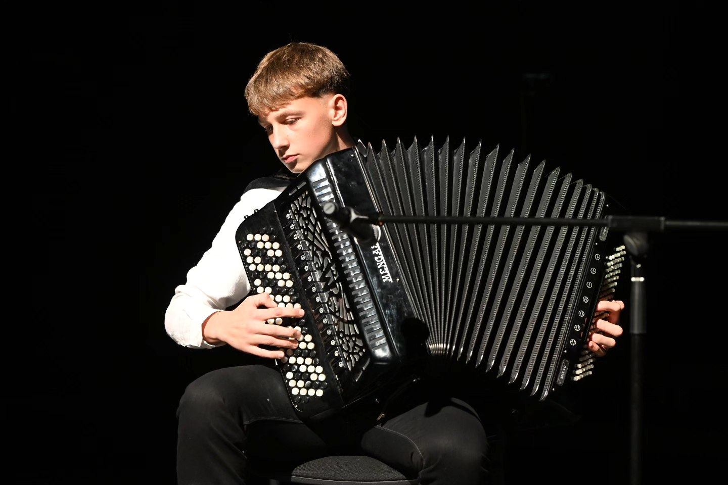 Novogodišnji koncert