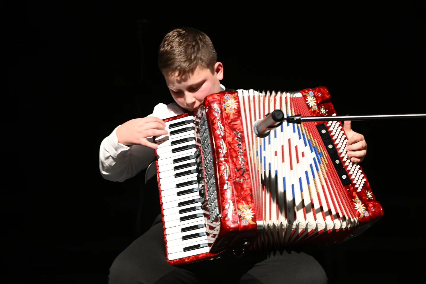 Novogodišnji koncert