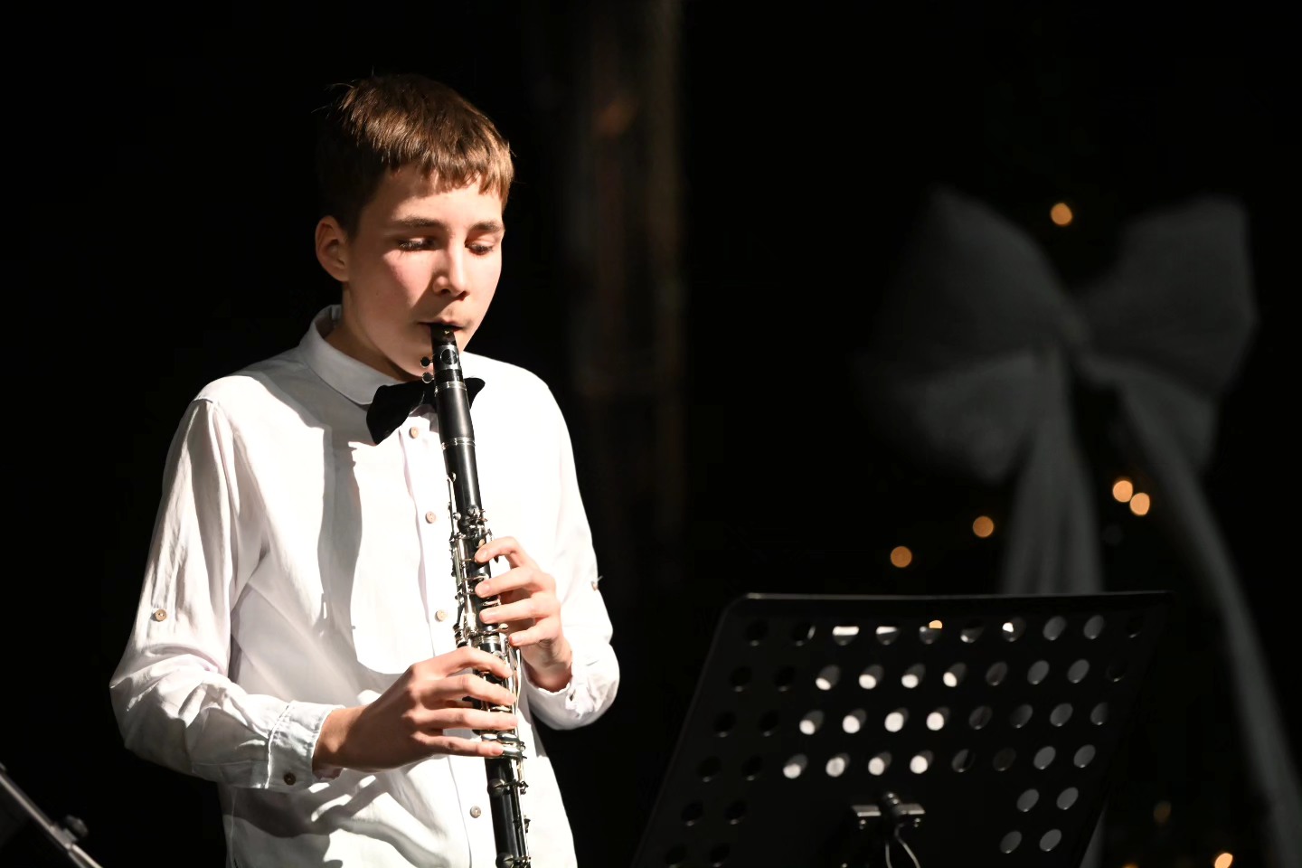 Novogodišnji koncert