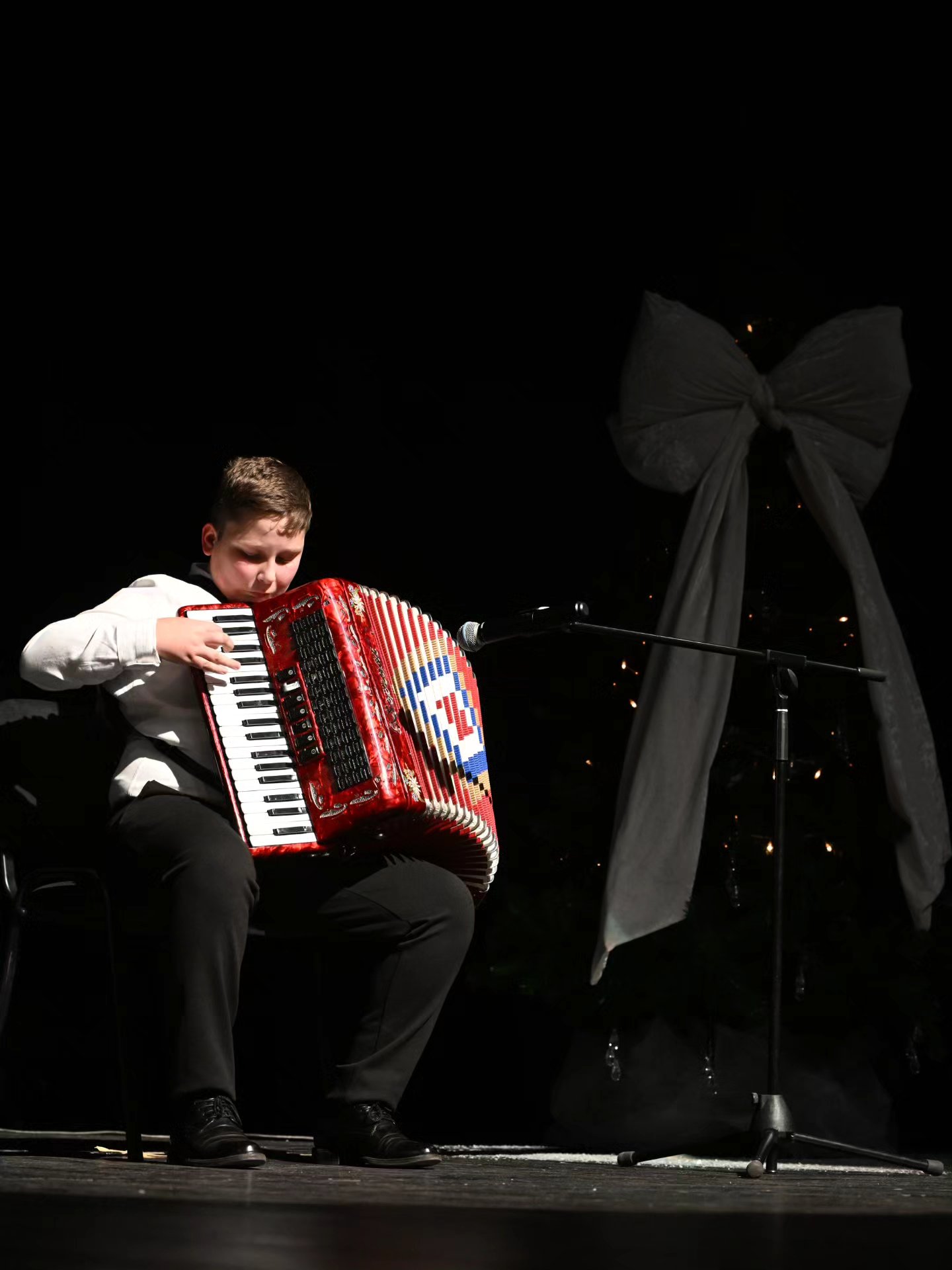 Novogodišnji koncert