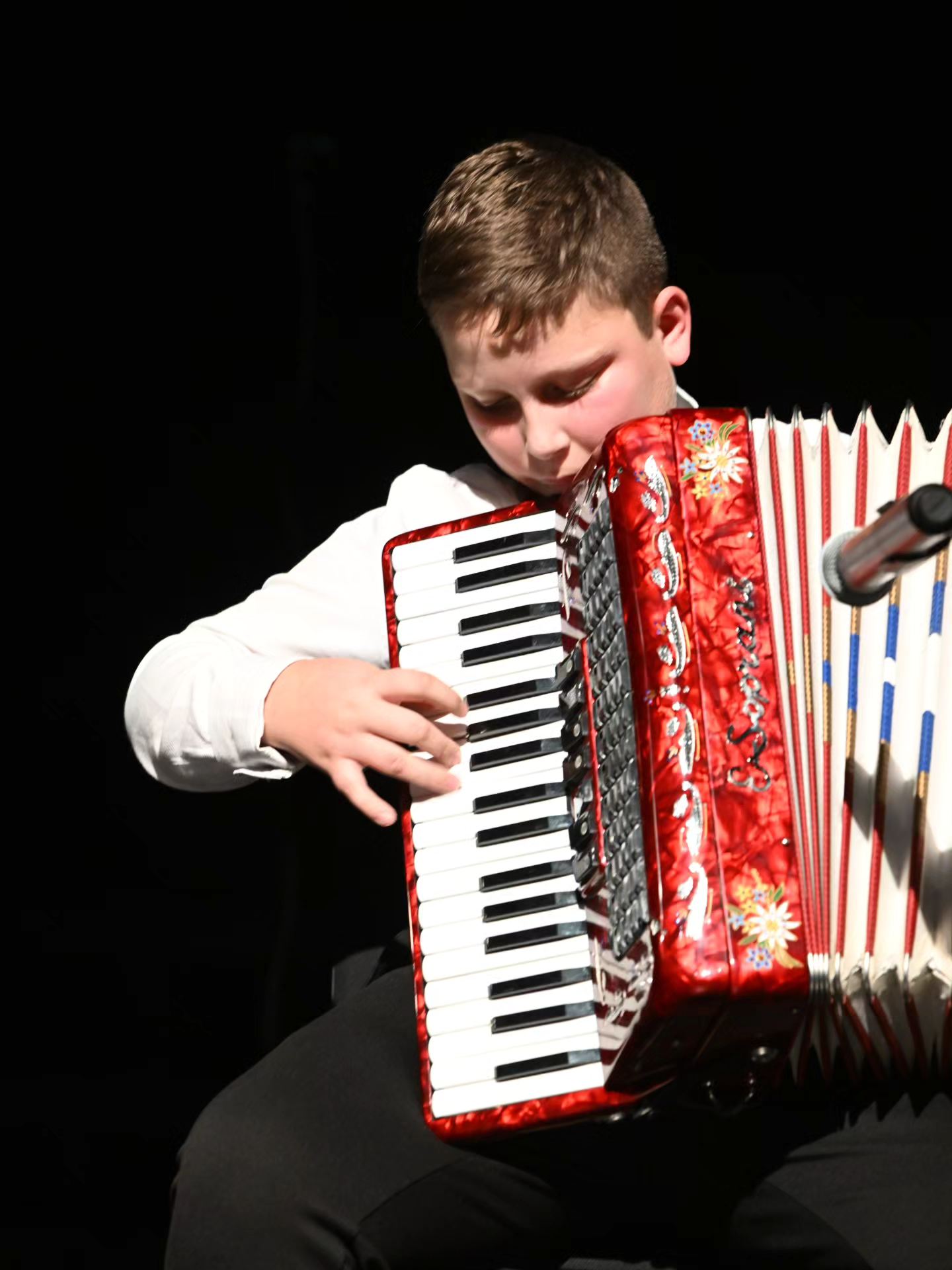 Novogodišnji koncert