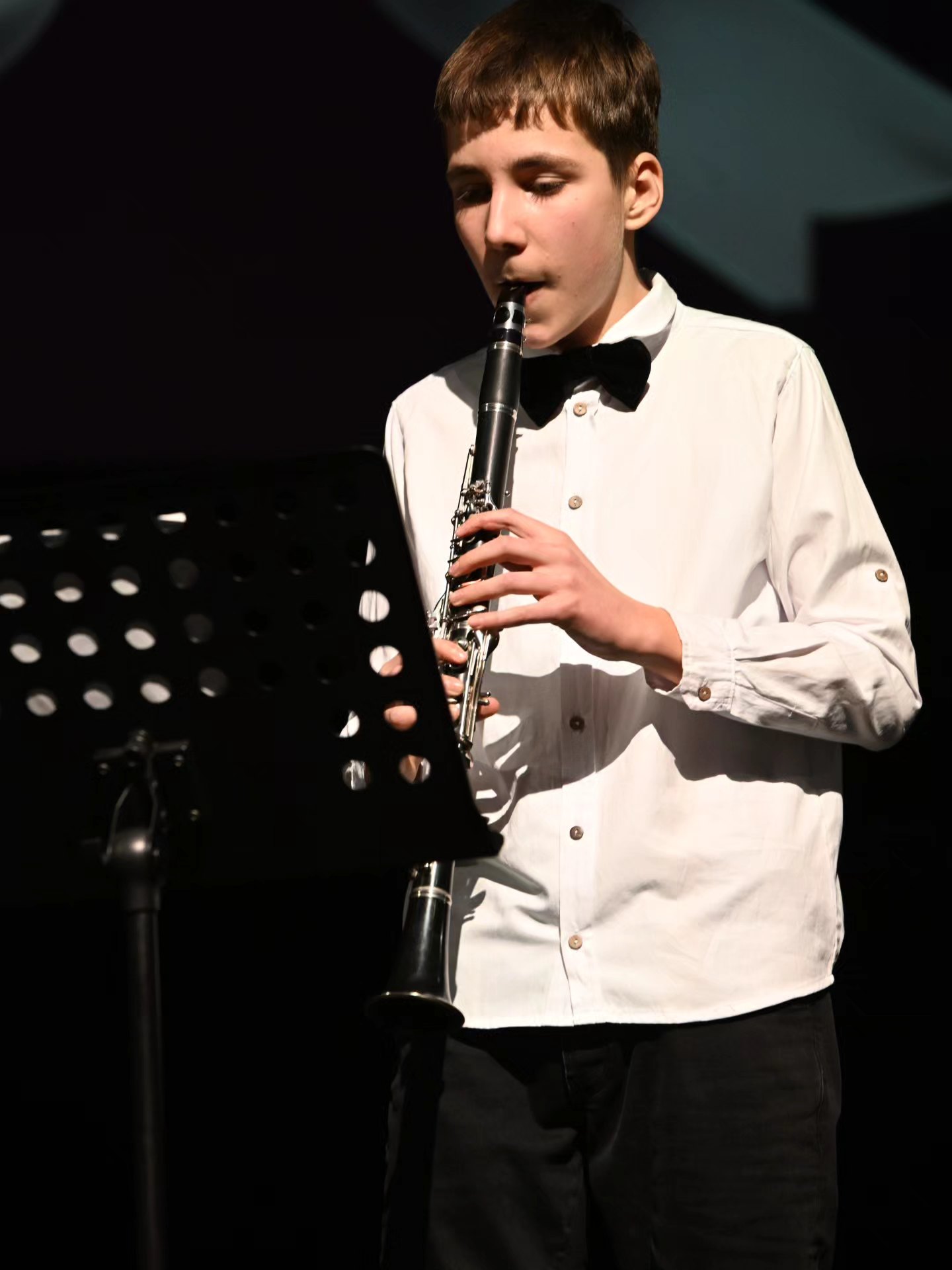 Novogodišnji koncert