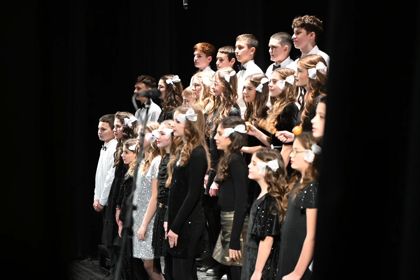 Novogodišnji koncert