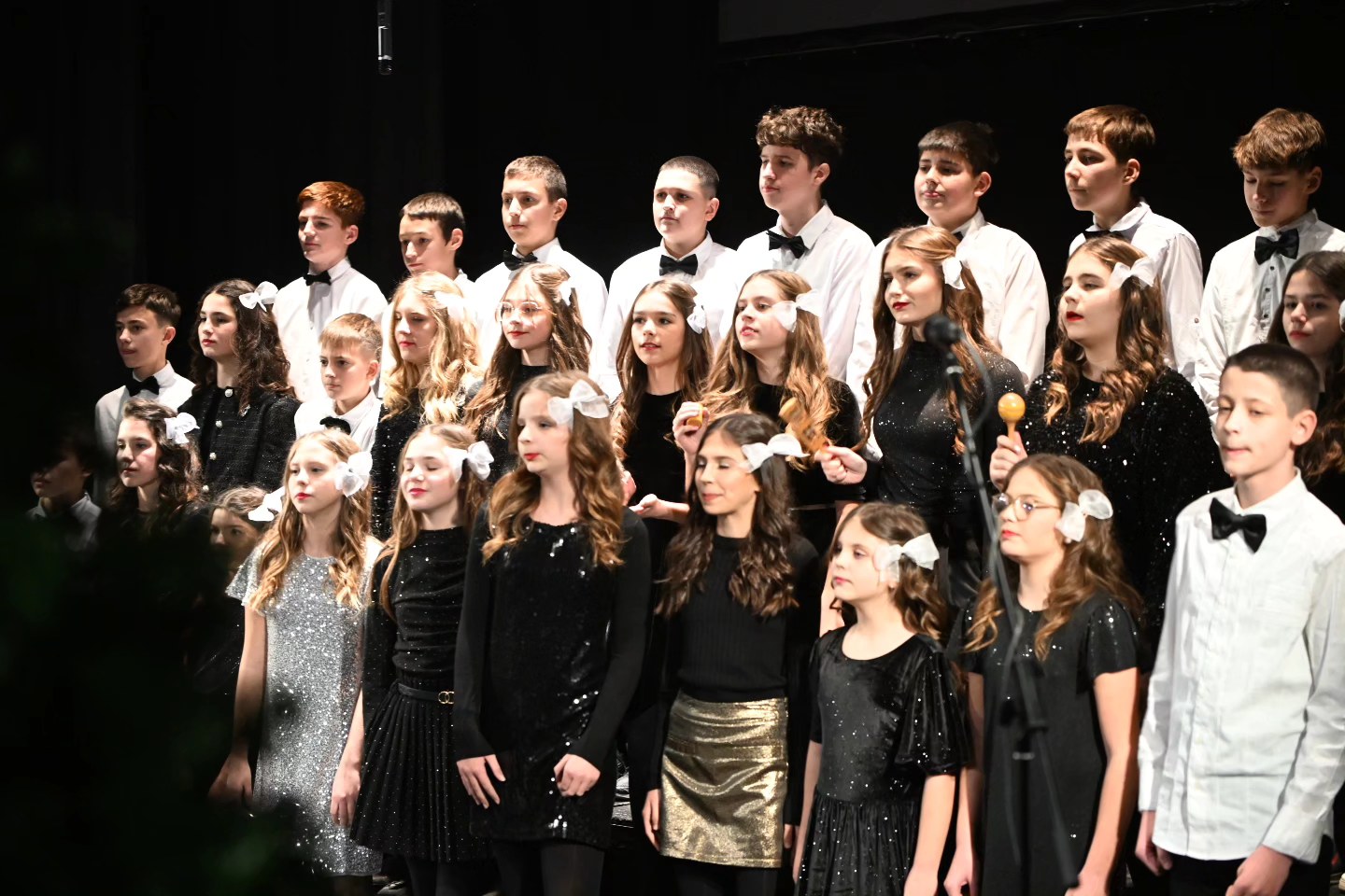 Novogodišnji koncert