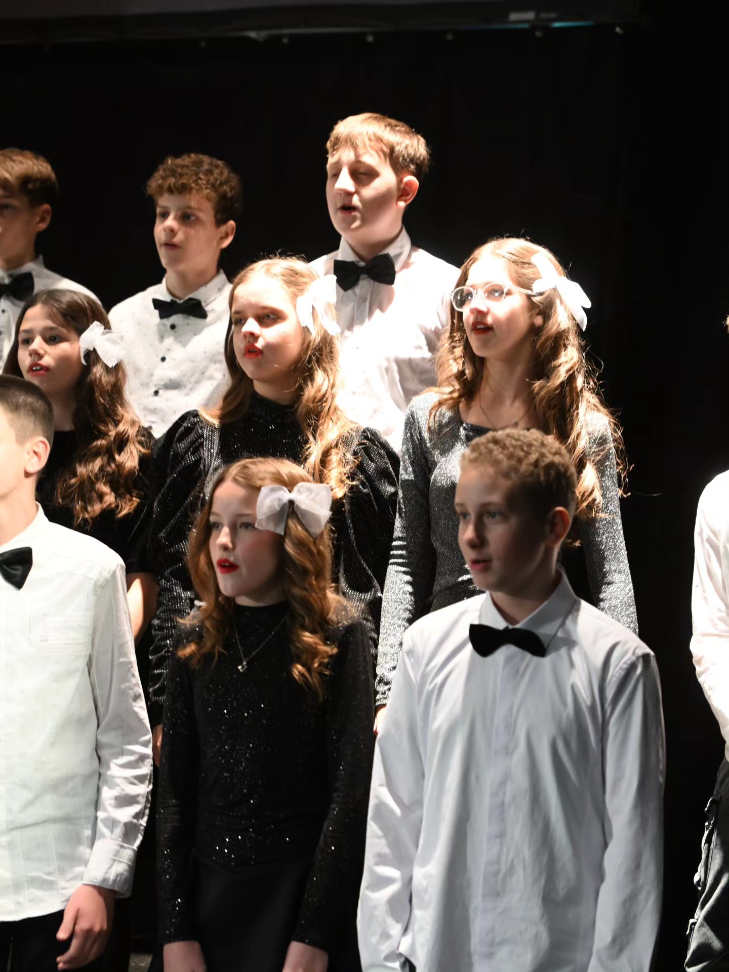 Novogodišnji koncert