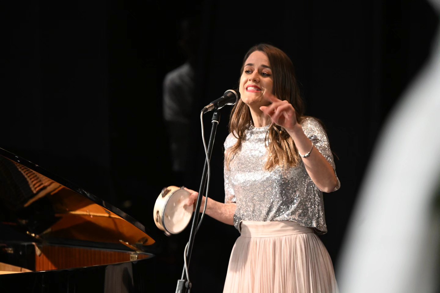 Novogodišnji koncert