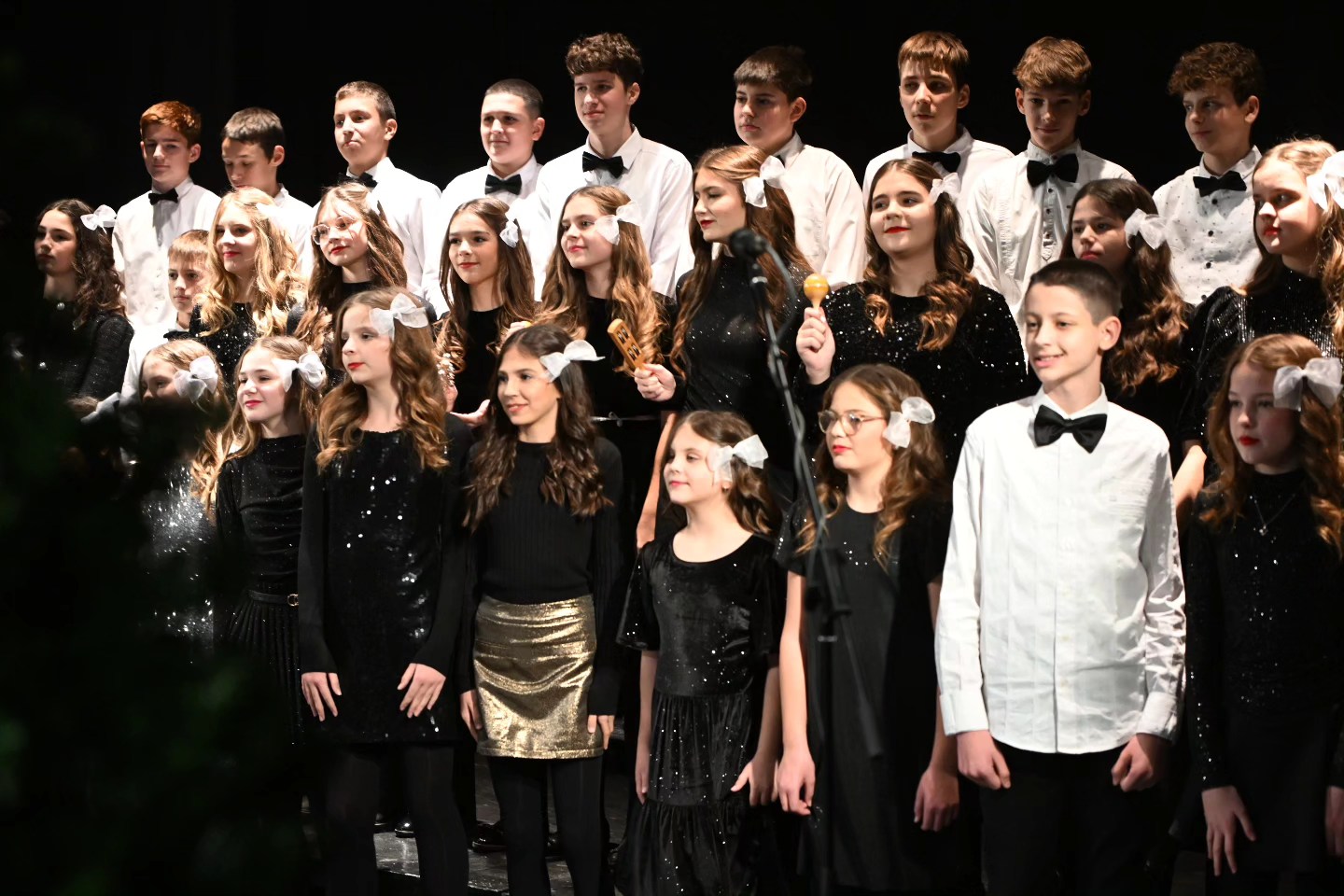 Novogodišnji koncert