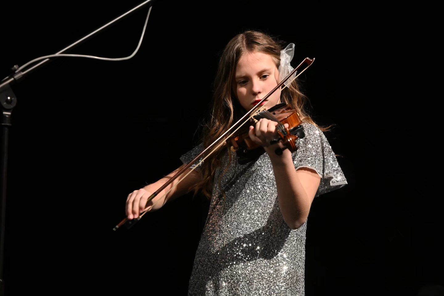 Novogodišnji koncert