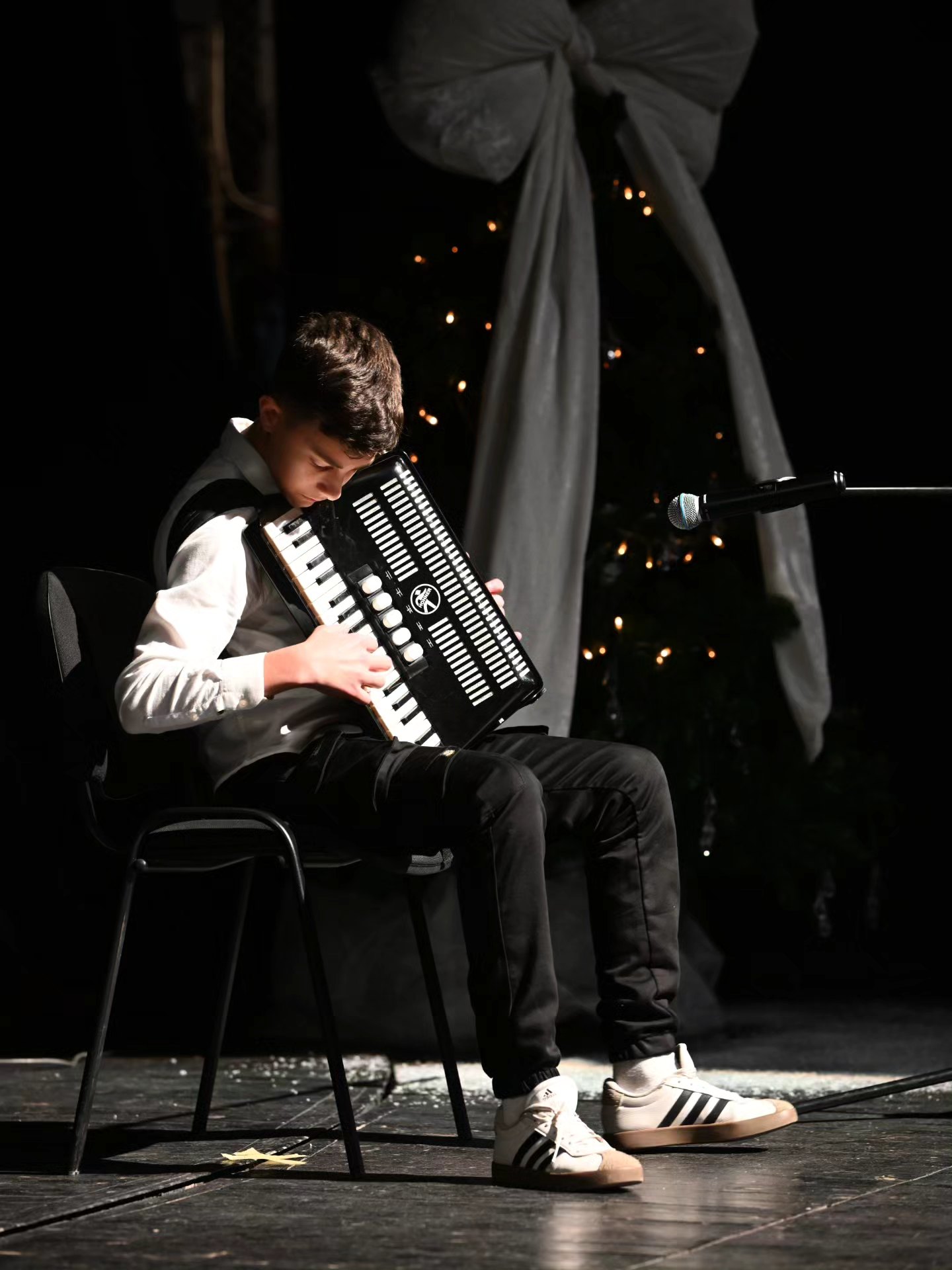 Novogodišnji koncert