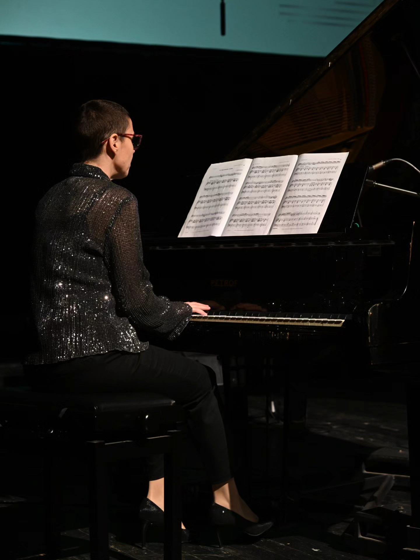 Novogodišnji koncert