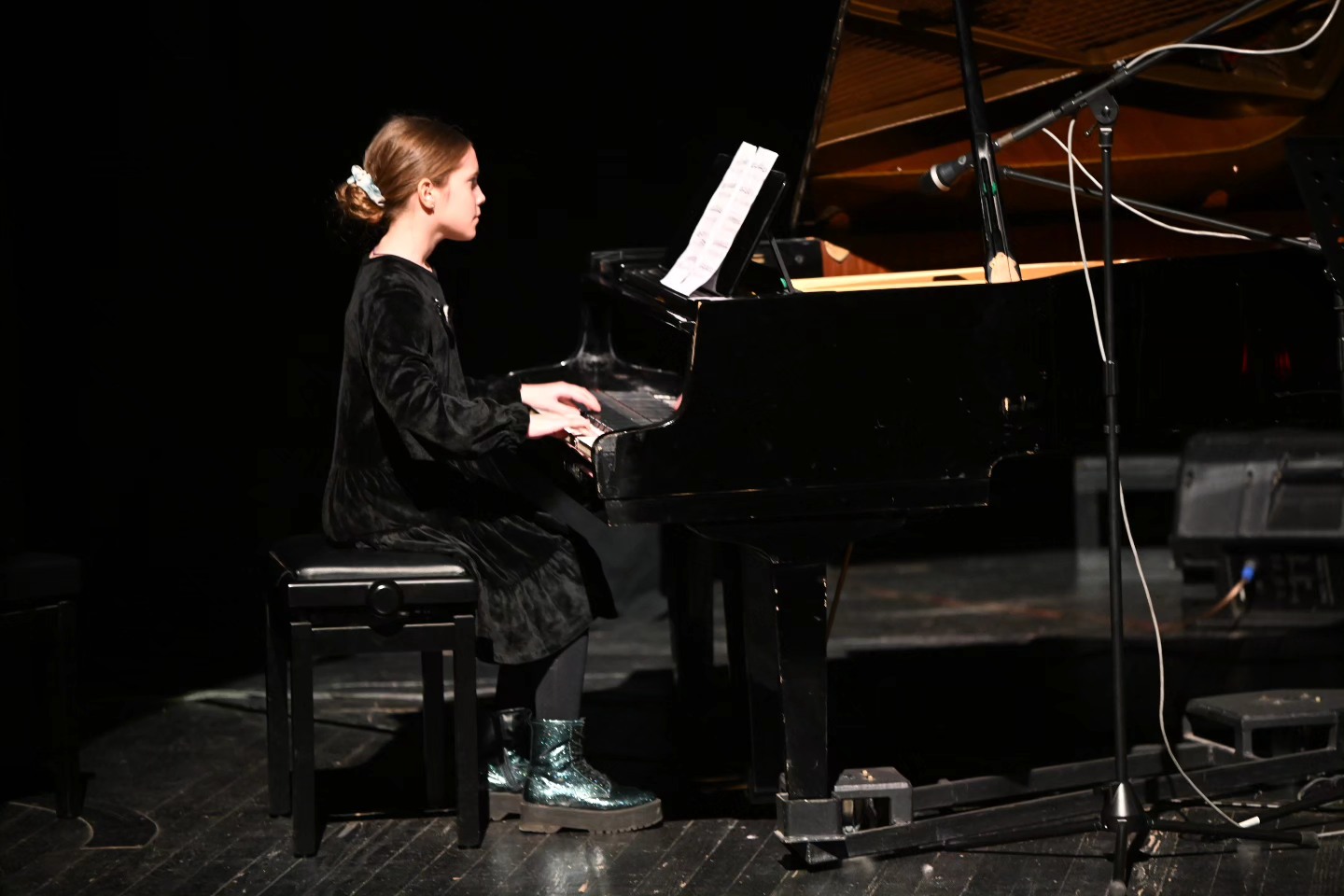 Novogodišnji koncert