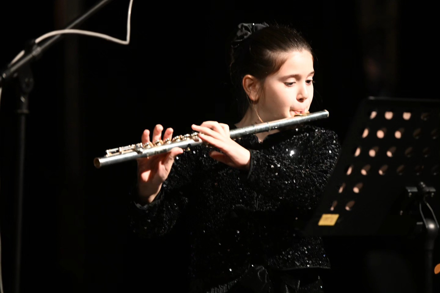 Novogodišnji koncert