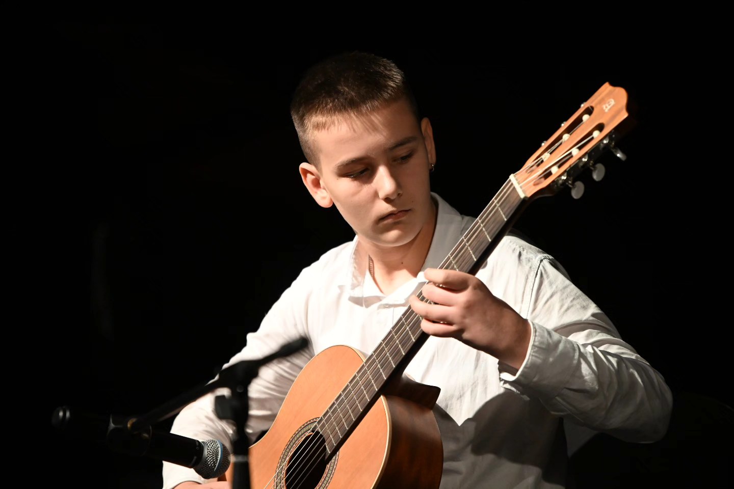 Novogodišnji koncert