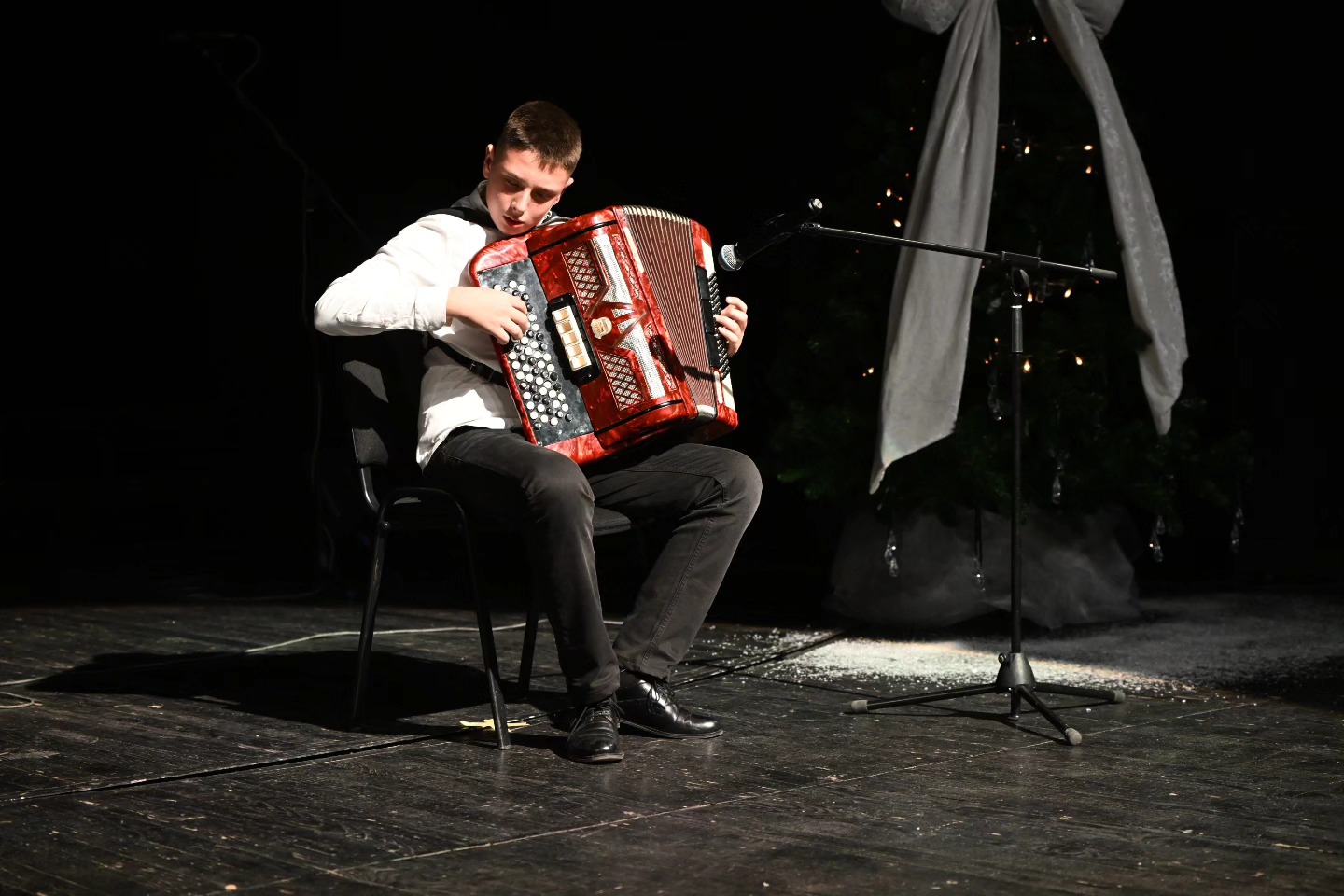 Novogodišnji koncert